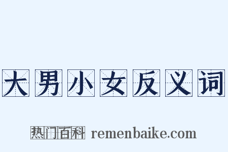 大男小女反义词是什么意思的图片